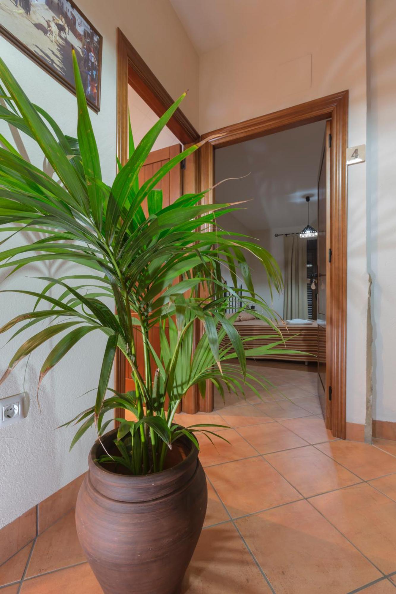 Casa Rural La Fuente Segura de León 외부 사진
